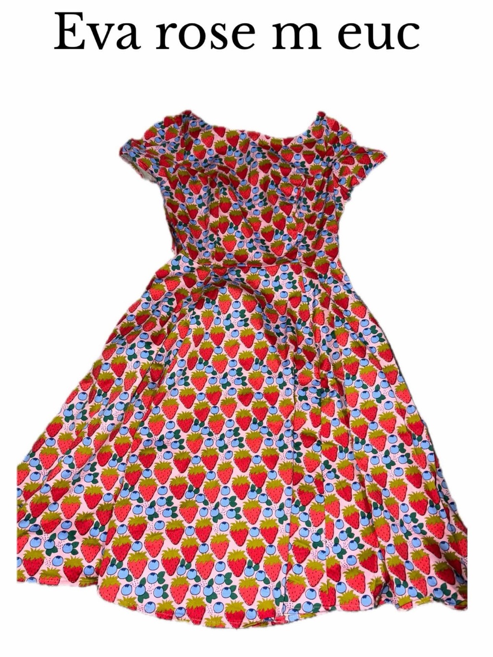 Eva rose women’s medium strawberry print dress